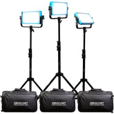 Dracast Pro Series LED500 Daylight LED 3 Light Kit